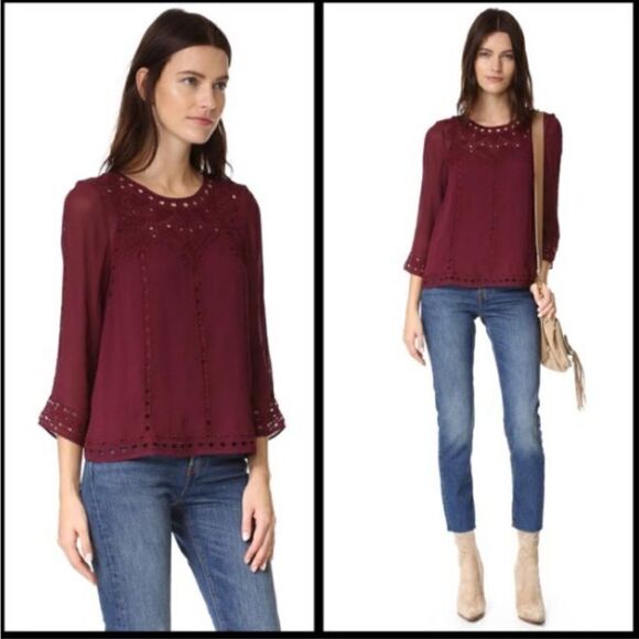 Joie Gaiane sheer chiffon embroidered top in Raisin - Picture 2 of 13